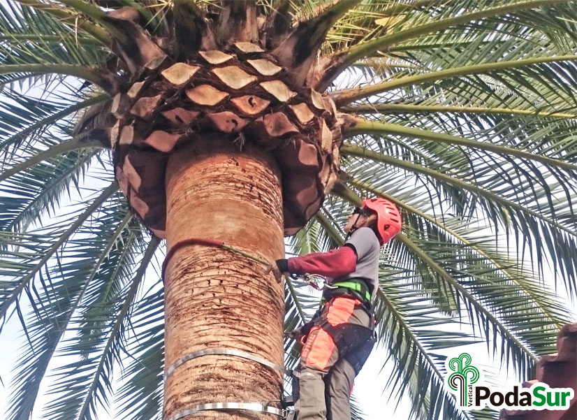 Rótulos luminosos Granada. Carteles de rótulos luminosos. Rótulos Espejo