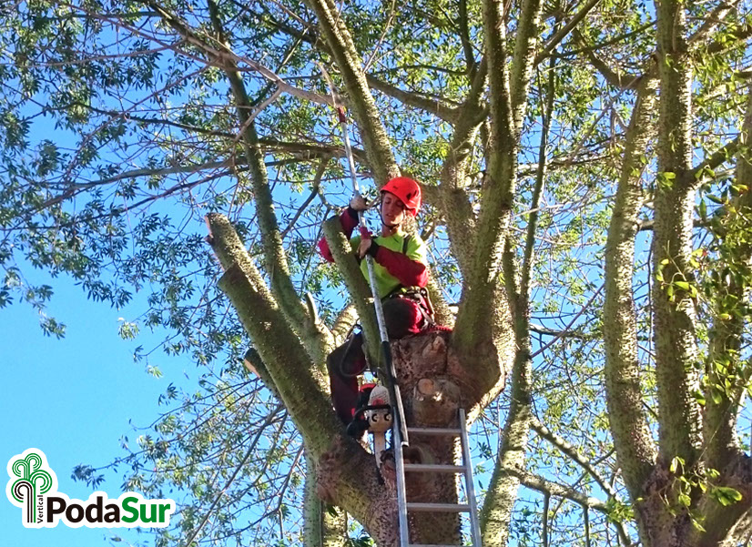Rótulos luminosos Granada. Carteles de rótulos luminosos. Rótulos Espejo