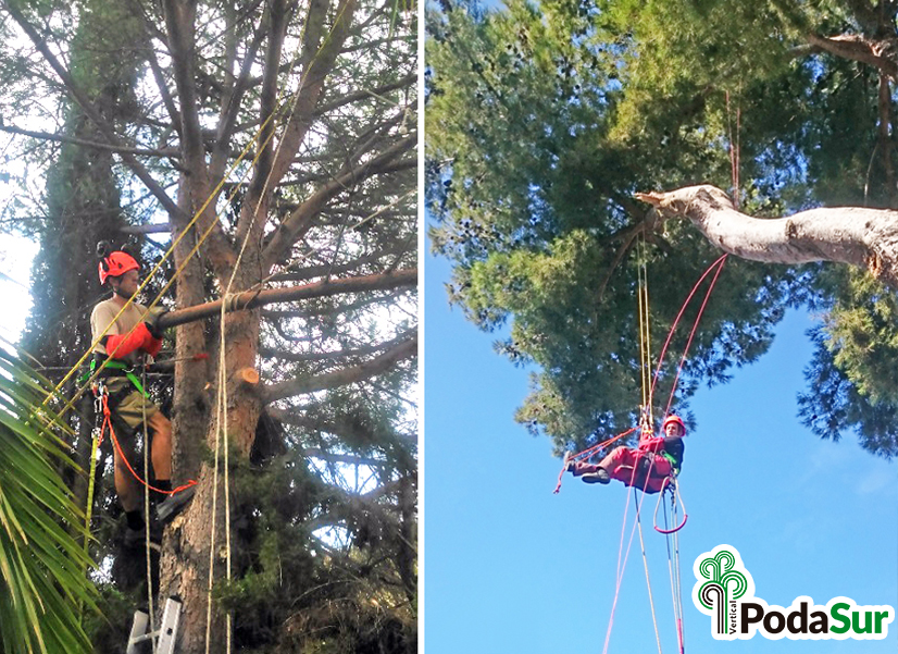Rótulos luminosos Granada. Carteles de rótulos luminosos. Rótulos Espejo