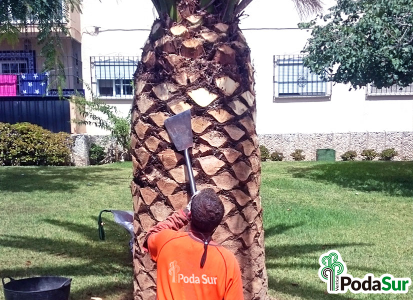 Rótulos luminosos Granada. Carteles de rótulos luminosos. Rótulos Espejo