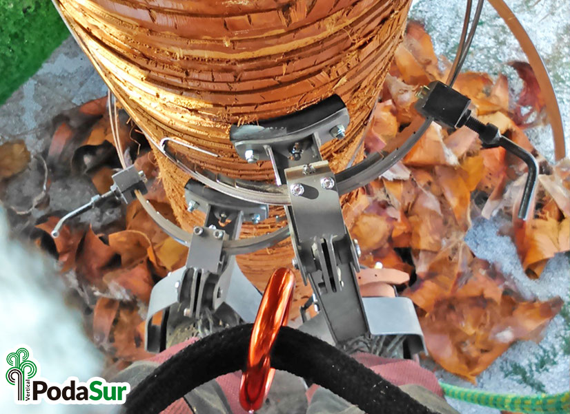 Rótulos luminosos Granada. Carteles de rótulos luminosos. Rótulos Espejo