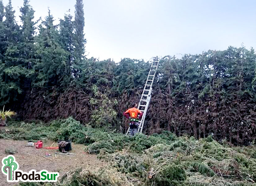 Rótulos luminosos Granada. Carteles de rótulos luminosos. Rótulos Espejo