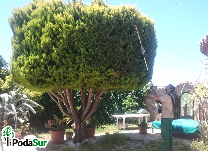 Rótulos luminosos Granada. Carteles de rótulos luminosos. Rótulos Espejo