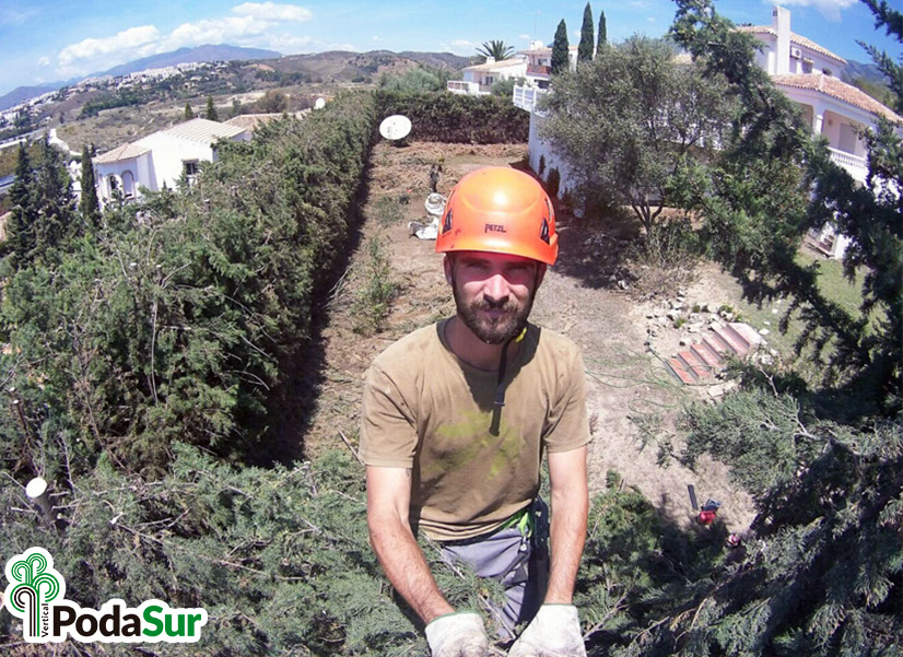 Rótulos luminosos Granada. Carteles de rótulos luminosos. Rótulos Espejo