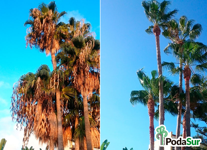 Rótulos luminosos Granada. Carteles de rótulos luminosos. Rótulos Espejo