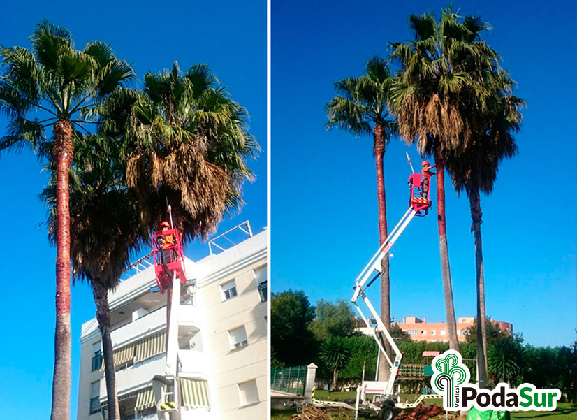 Rótulos luminosos Granada. Carteles de rótulos luminosos. Rótulos Espejo