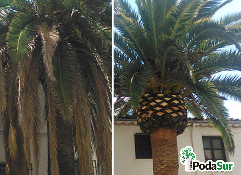 Rótulos luminosos Granada. Carteles de rótulos luminosos. Rótulos Espejo