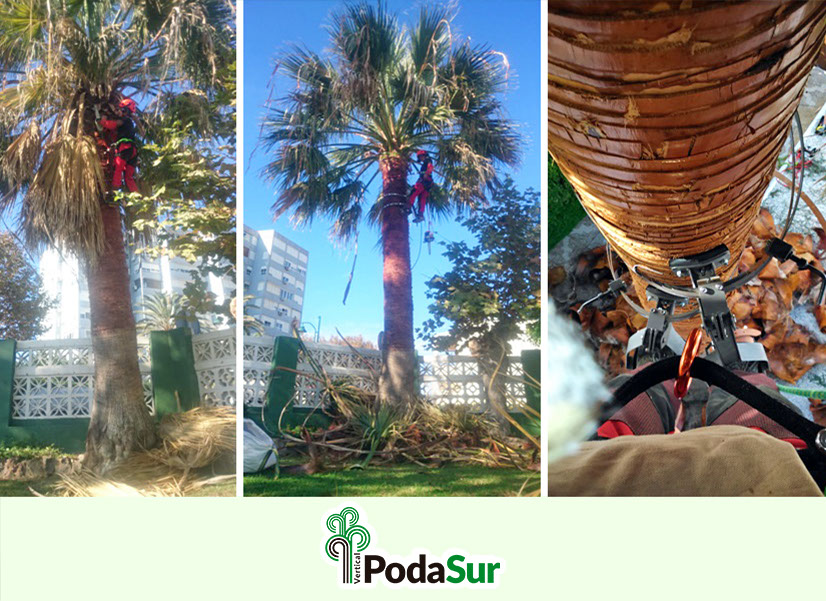 Rótulos luminosos Granada. Carteles de rótulos luminosos. Rótulos Espejo