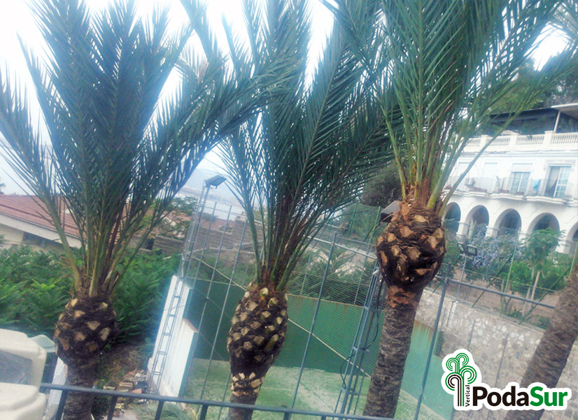 Rótulos luminosos Granada. Carteles de rótulos luminosos. Rótulos Espejo