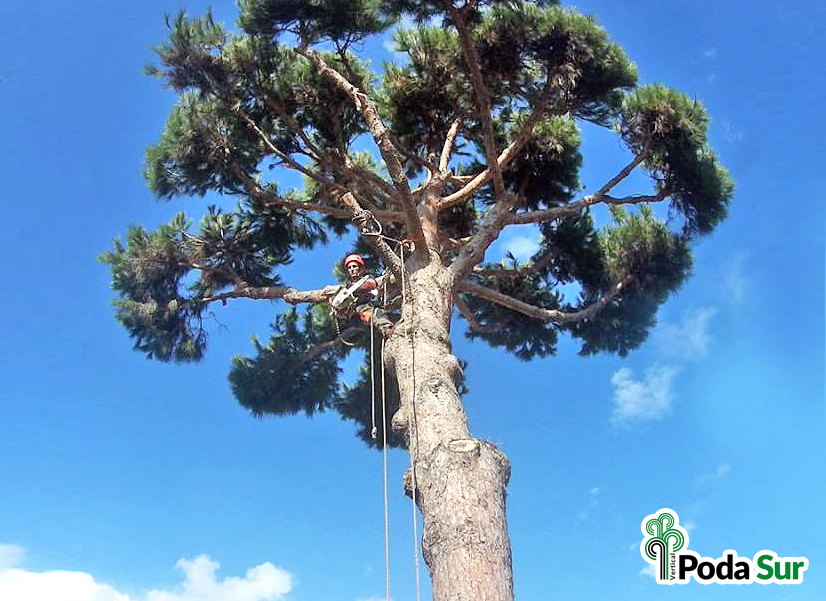 Rótulos luminosos Granada. Carteles de rótulos luminosos. Rótulos Espejo